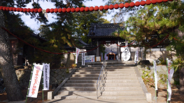 冬至のハズ観音妙善寺 かきつばたオアシス