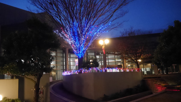 碧南市芸術文化ホール周辺のイルミネーション かきつばたオアシス 碧南市芸術文化ホール周辺のイルミネーション かきつばたオアシス