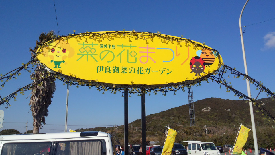 渥美半島 伊良湖の菜の花 かきつばたオアシス