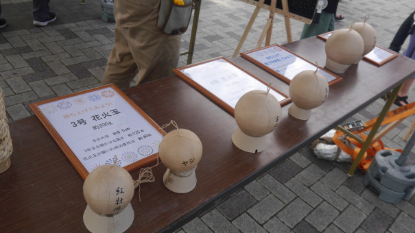 刈谷わんさか祭り19 かきつばたオアシス