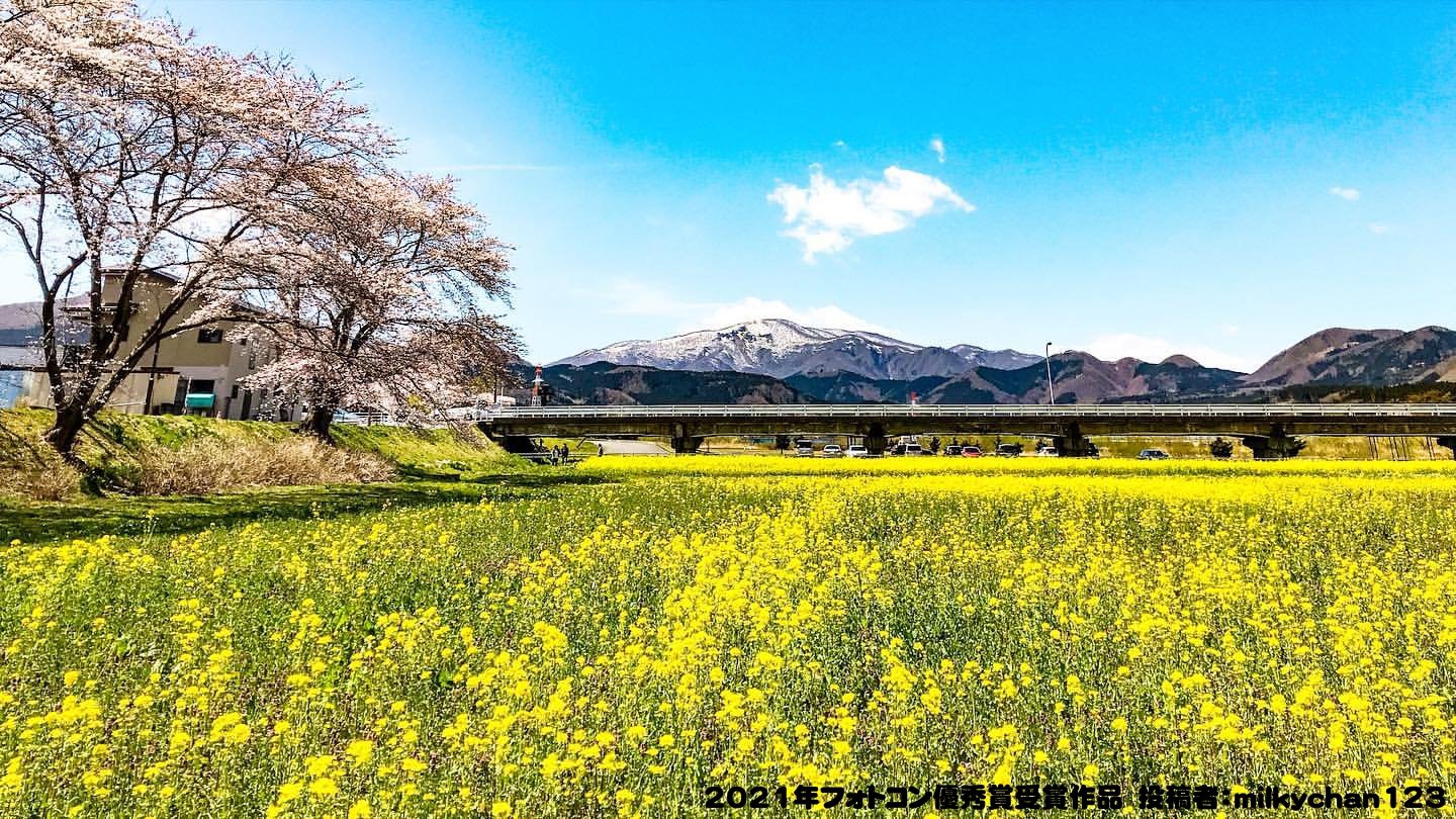 2026 おおさき鳴子温泉 菜の花ガーデン