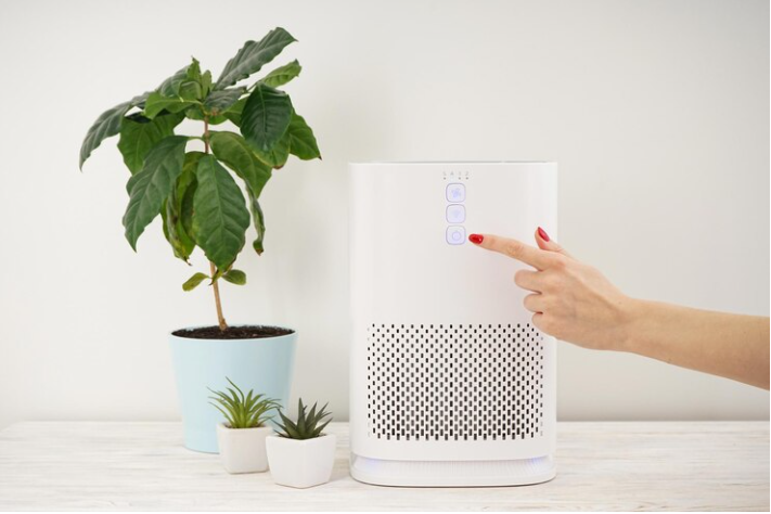 Air Purifiers That Use Ultraviolet Light To Kill Bacteria Plantkorus