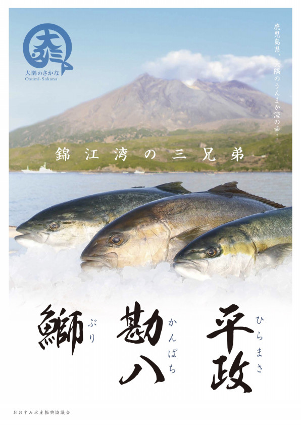 大隅の魚普及のための販促ツール Gk 大隅の魚普及のための販促ツール Gk