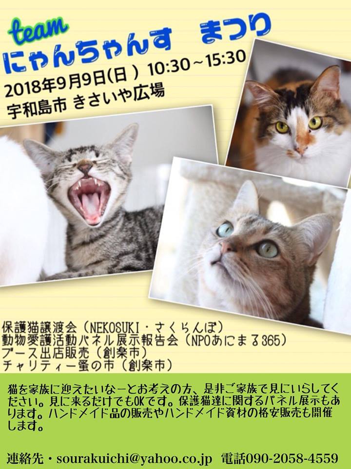 2018年08月の記事一覧  ～NEKOSUKI～ 保護猫シェルター・雑貨