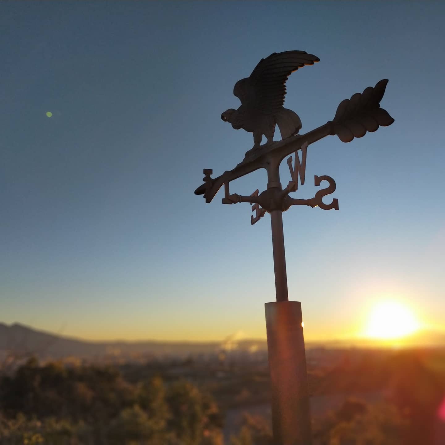 mental-care-office-otn