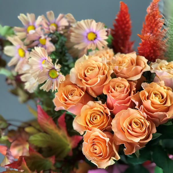 秋の花たち コスモスのオレンジセラピー ふあふあ花便り Anelapuaのblog 秋の花たち コスモスのオレンジセラピー ふあふあ花便り Anelapuaのblog
