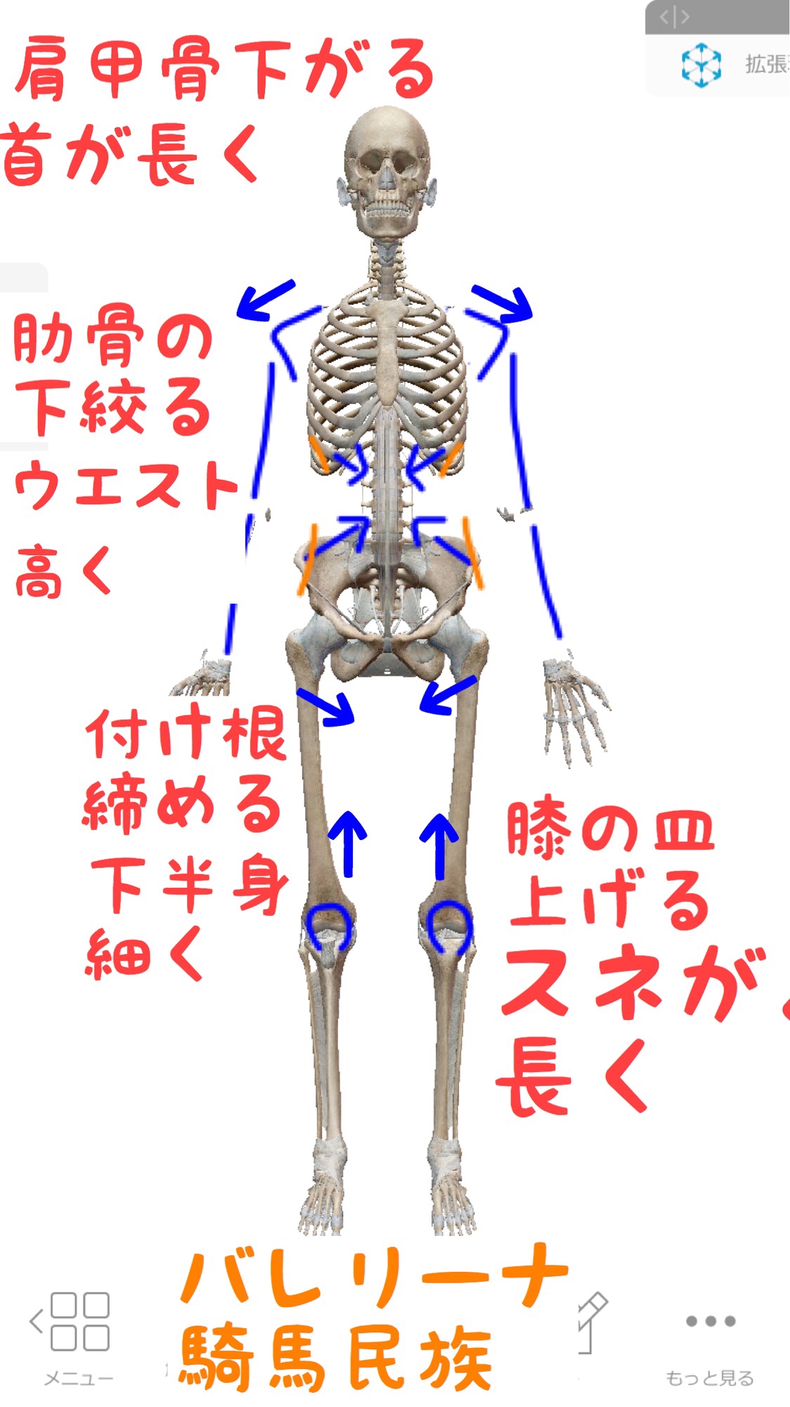 ウルトラまにあっくバレエストレッチの記事一覧 ページ0