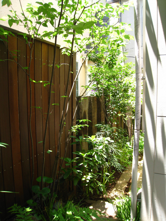 ルーフバルコニーと坪庭 ｇｒｅｅｎ