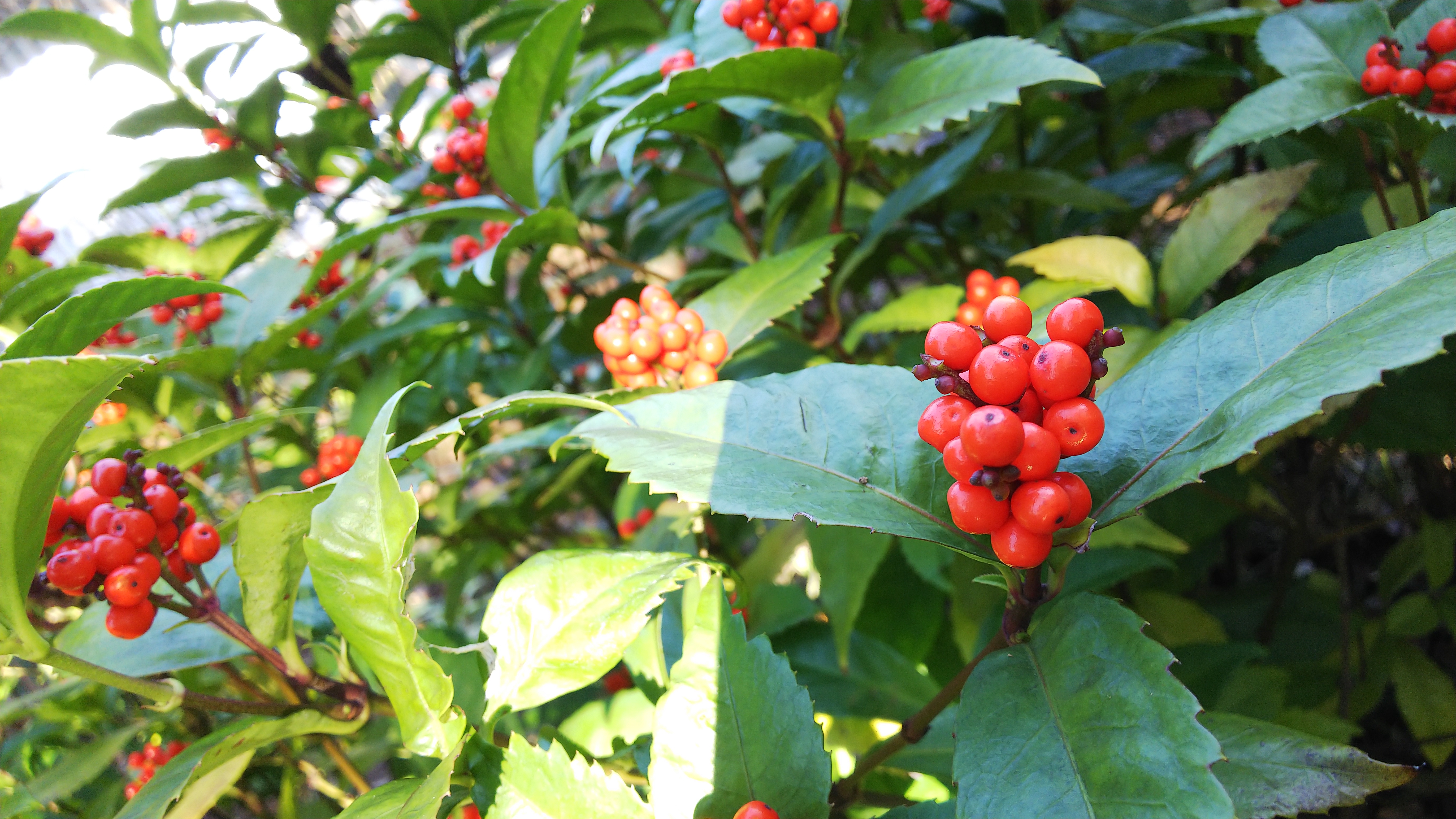 ガウディの椅子 | NIJIJUKU ～ 建築士とインテリアコーディネーター二