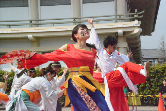 京都さくらよさこい Kobe Meet Trip 京都さくらよさこい Kobe Meet Trip