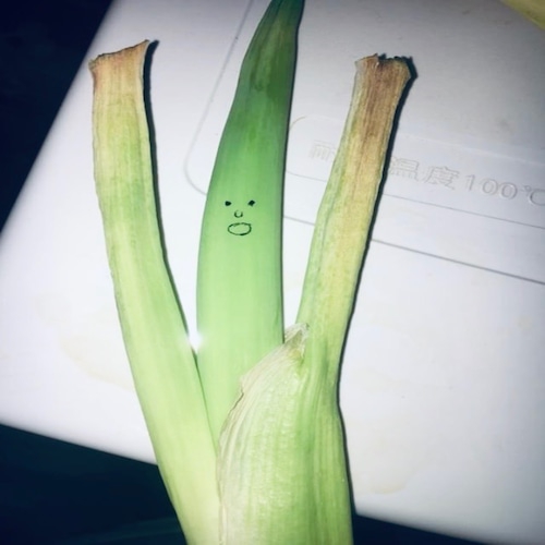 DISCOGRAPHY | くだらない1日