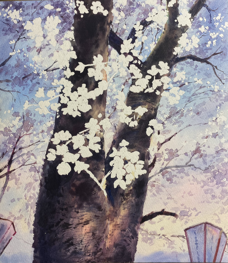 桜の水彩画の描き方 作者東有達 新潟絵画教室azumas こども 美大受験 大人の絵画教室