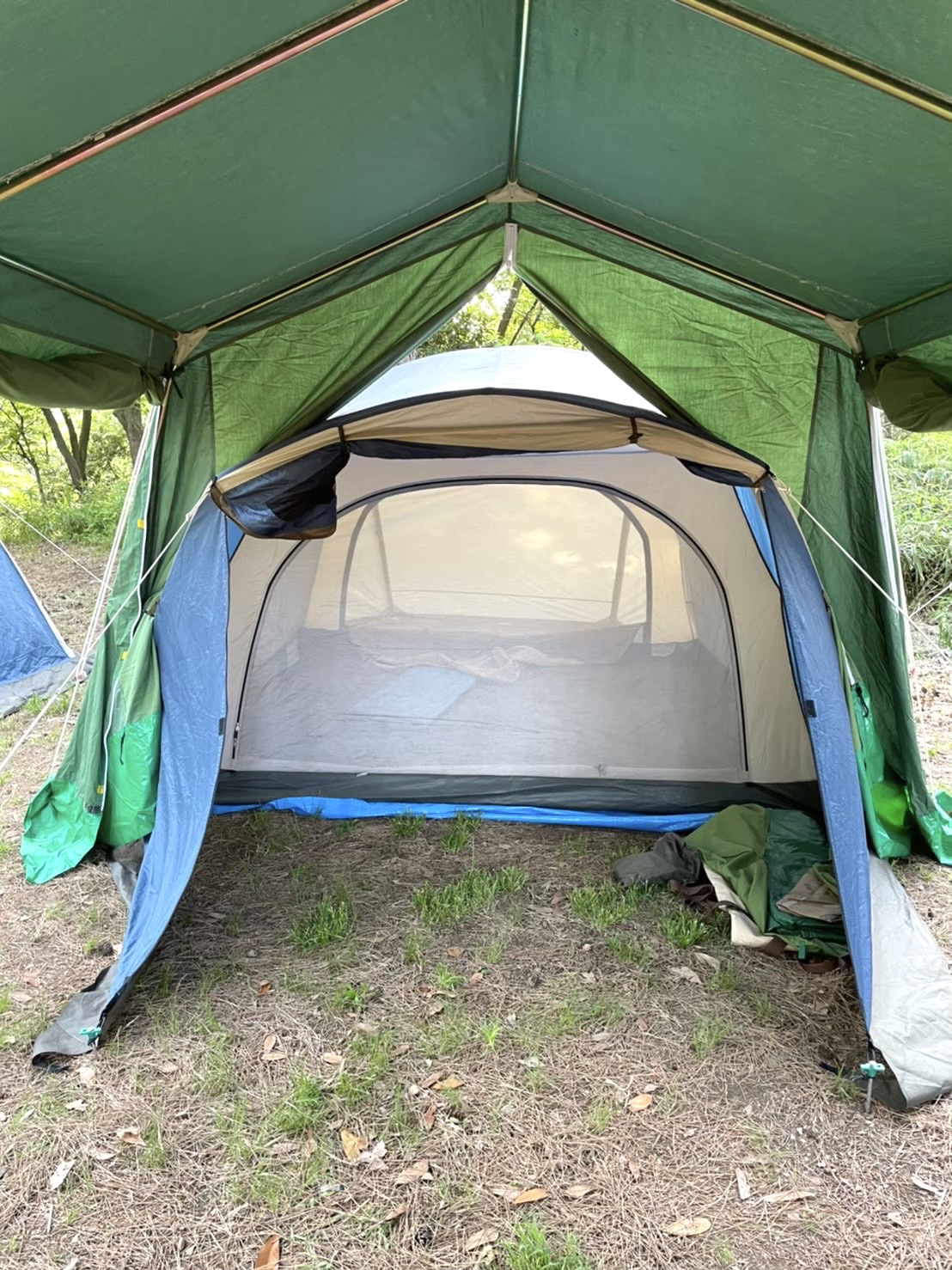 ogawa オガワ Schuyt DX6　スクートDX6　ドームテント 61+fQ6WcJnL._UF350,350_QL80_.jpg