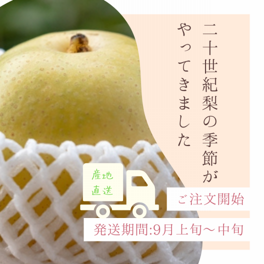 鳥取産】 優品・ご家庭用 二十世紀梨 3kg（6-10玉） | ひかり農園