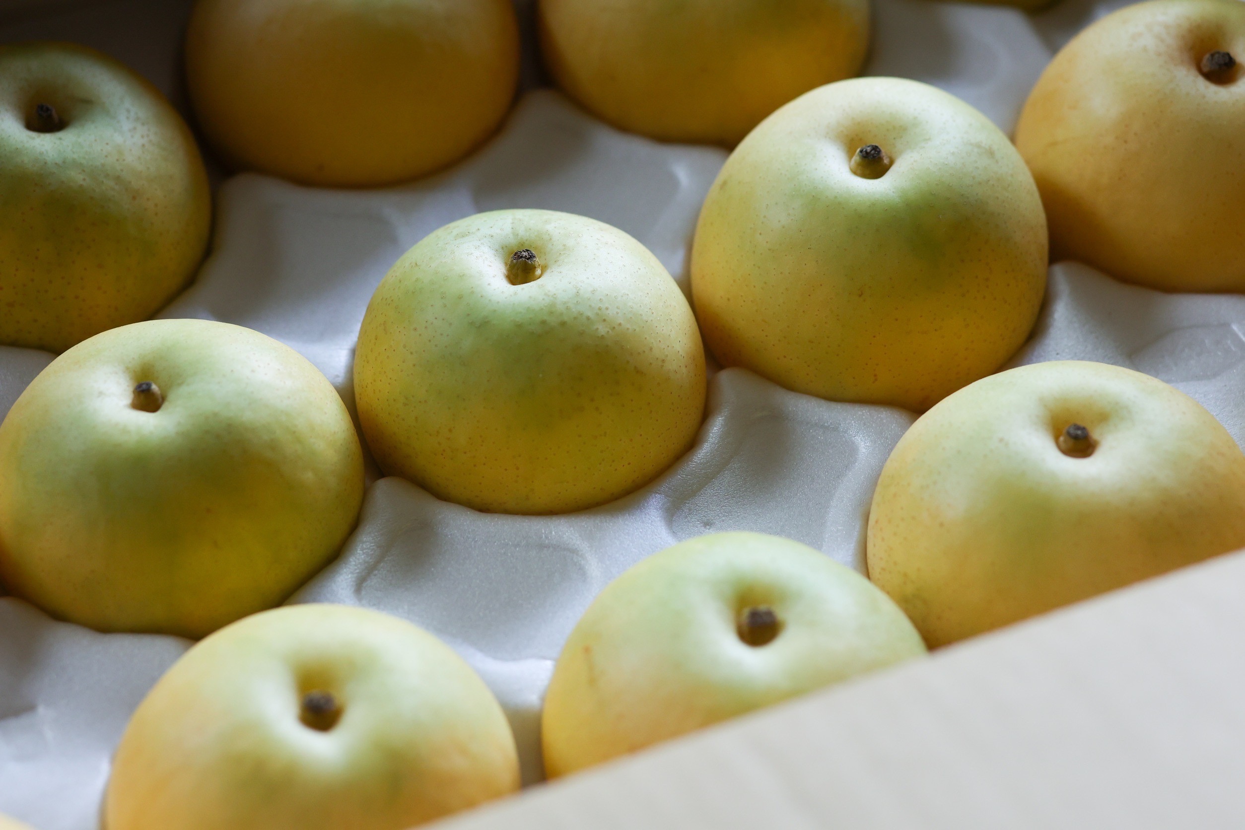 梨の品種一覧 | ひかり農園