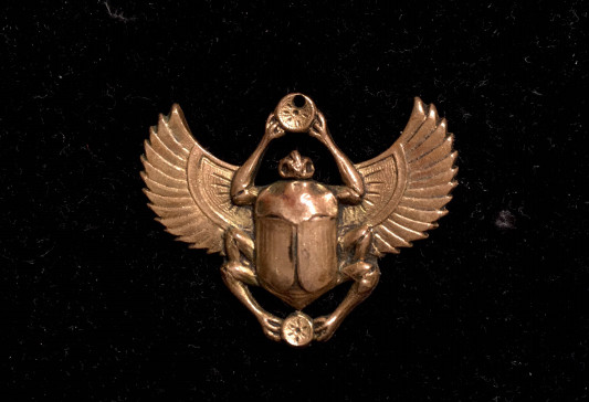 スカラベと寄り添う タロットと地域猫