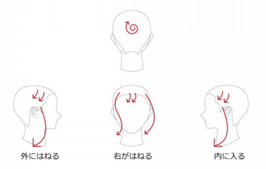 髪の毛の流れと乾かし方 Siesta Hair Spa 髪質改善 美髪特化型ヘアサロン 髪の毛の流れと乾かし方 Siesta Hair Spa 髪質改善 美髪特化型ヘアサロン