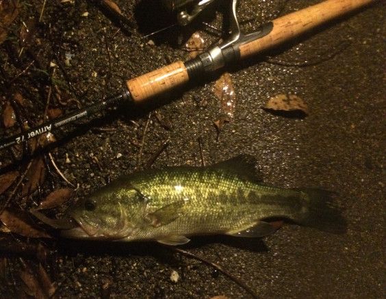 Works 御池バス釣り 研究所