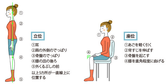 正しい姿勢とは 秋田県にかほ市 美容整体 Dhoni ドーニ