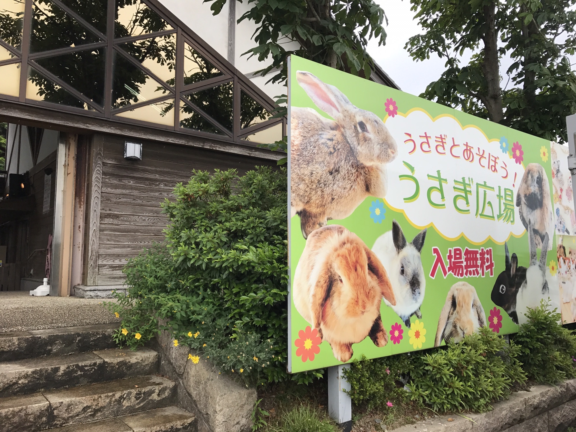 うさぎ広場に フロンティア福井ダンスアカデミー 公式 福井市花堂南2 18 10 お問合せ0776 50 24