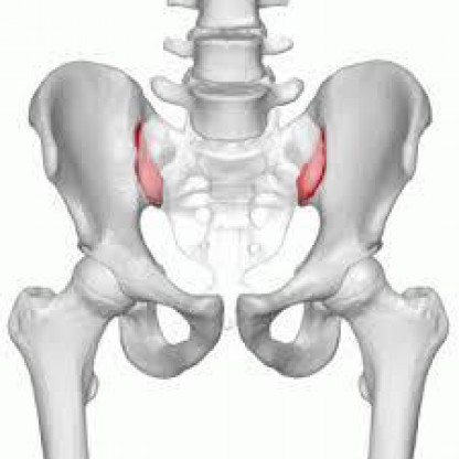 股関節 骨盤の痛み 鼠径部 股の付け根 の痛み Horikawa Chiropractic