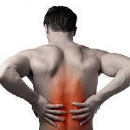 背中の痛み 背部痛 中学生男子 横浜市青葉区 Horikawa Chiropractic