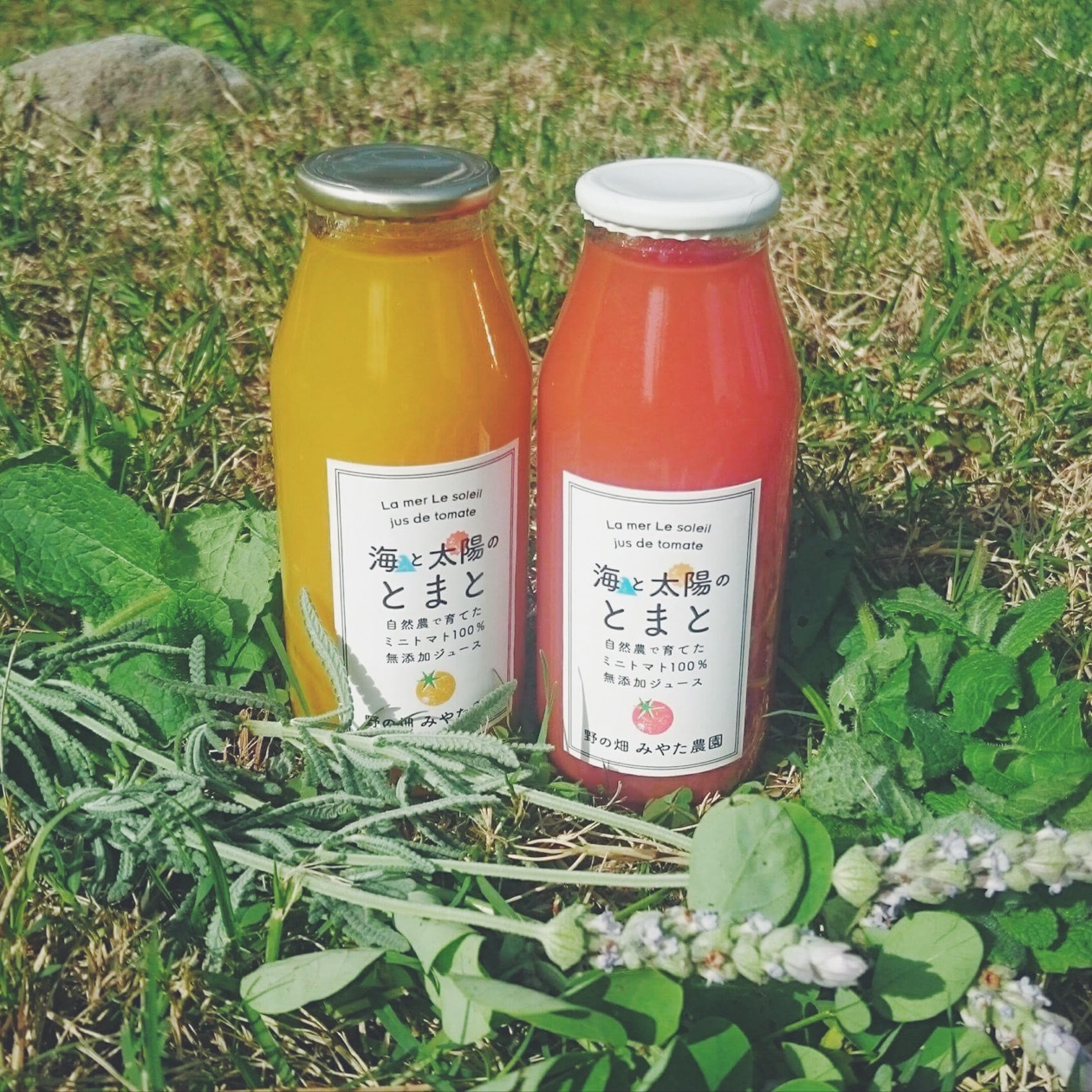 21e35aadf441b2cacae691512fe537