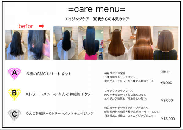 Care エイジング Zinahair ジーナヘアー