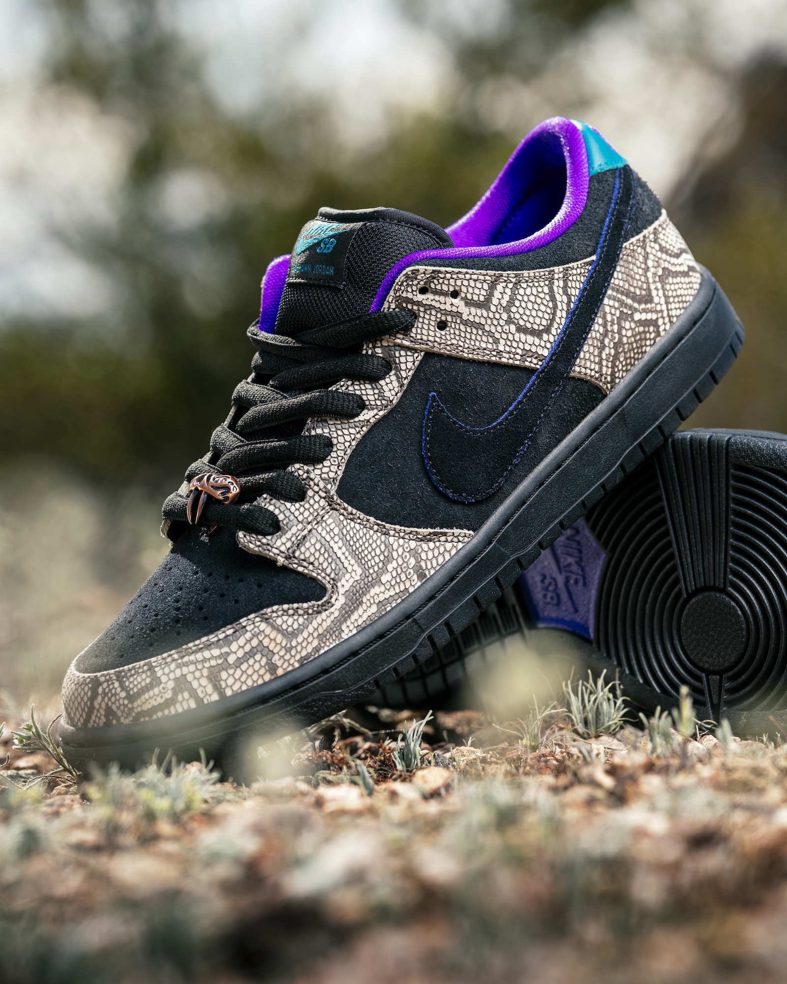 Dashawn Jordan x Nike SB Dunk Low Pro 