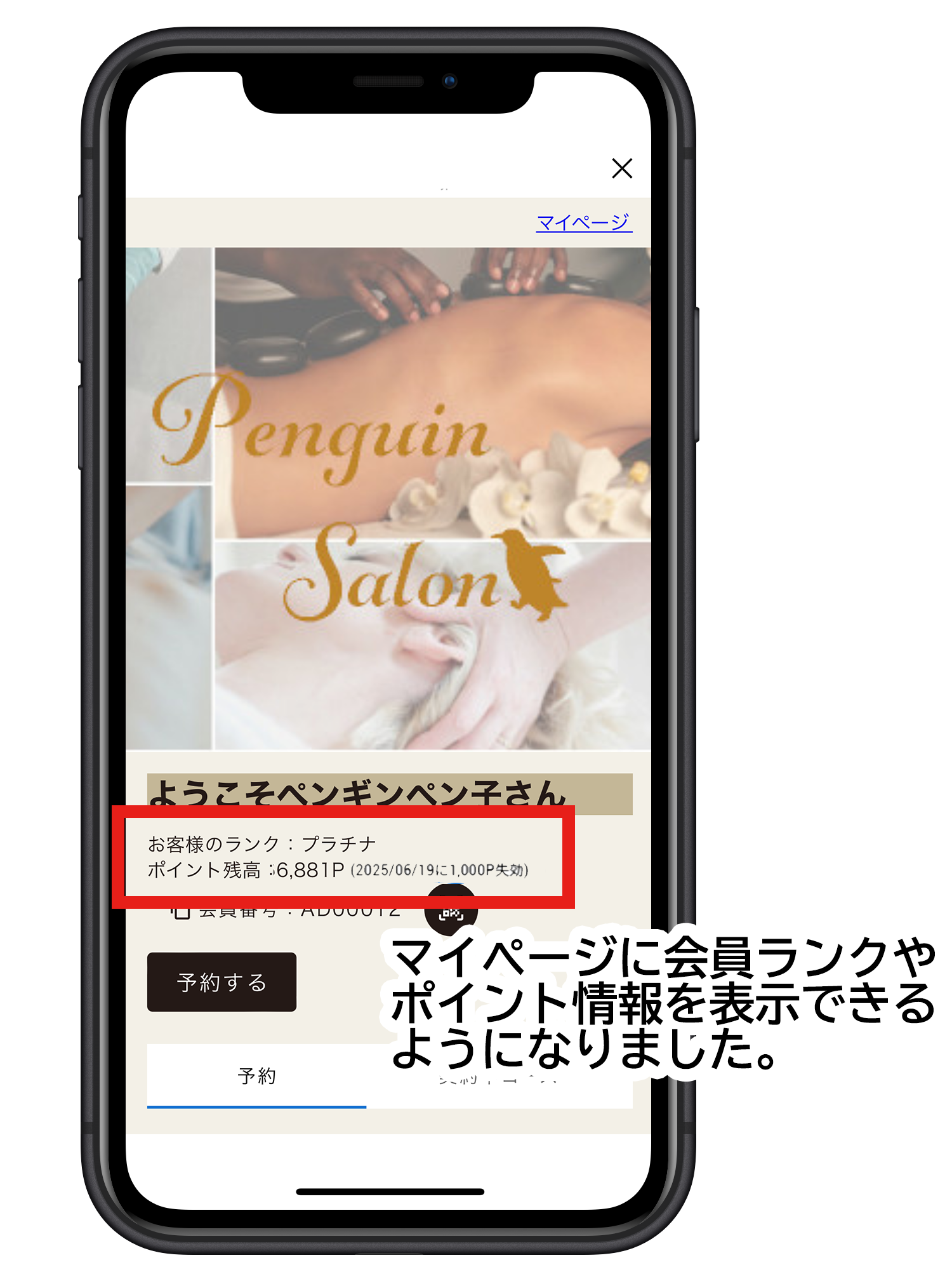 鈴木亜美 (@ami927sn) / Posts / X | あみ様確認用ページ | 手提げ 