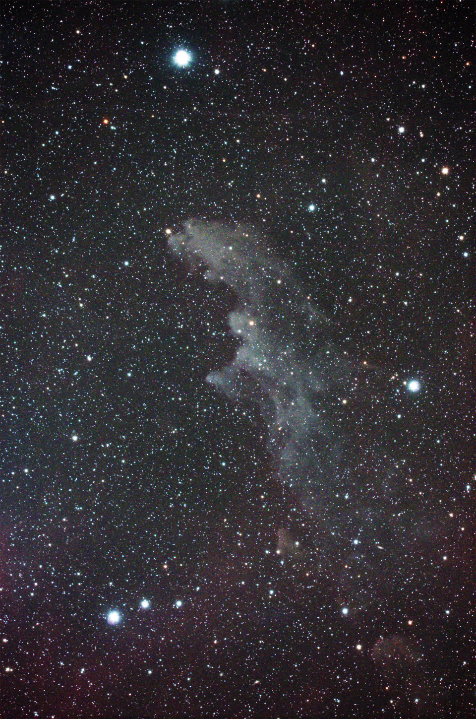 魔女の横顔星雲 Ic2118 満天の星空 魔女の横顔星雲 Ic2118 満天の星空