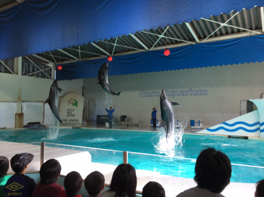 おたる水族館 児童発達支援さぼてん