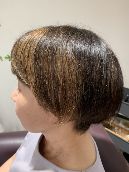 本日のハイライト Biscohair 本日のハイライト Biscohair