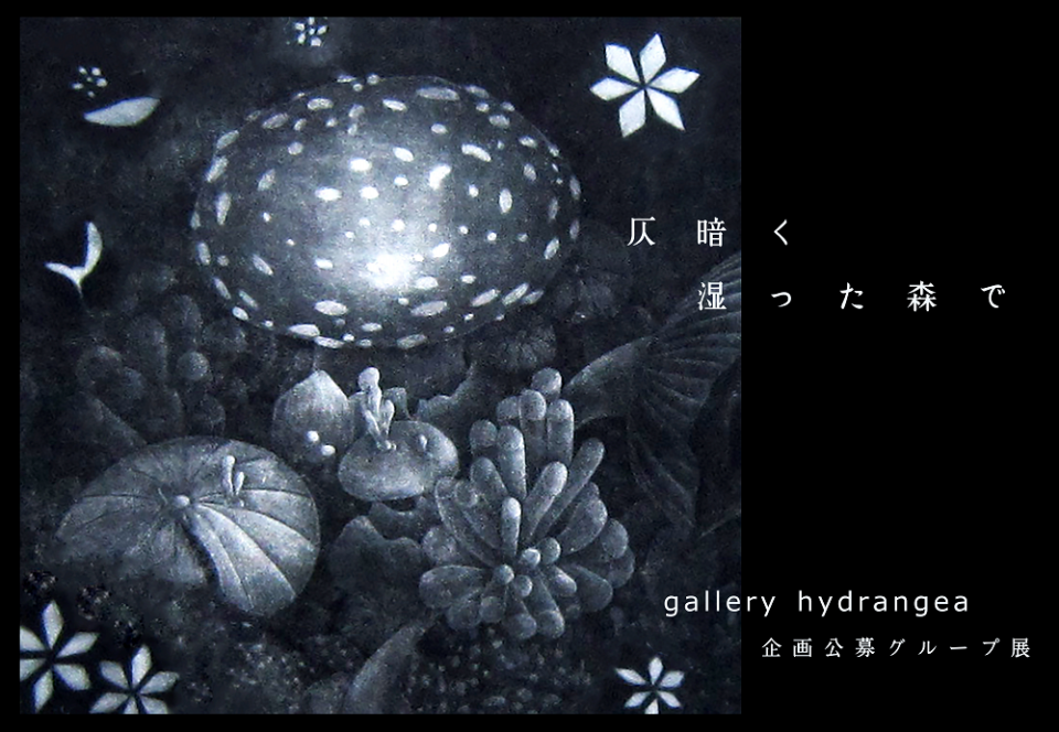 2021.08 gallery hydrangea 企画公募展『 仄暗く湿った森で