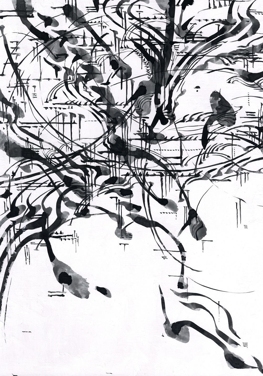 2025.10 isa 個展『 大海 』 | gallery hydrangea（ギャラリー