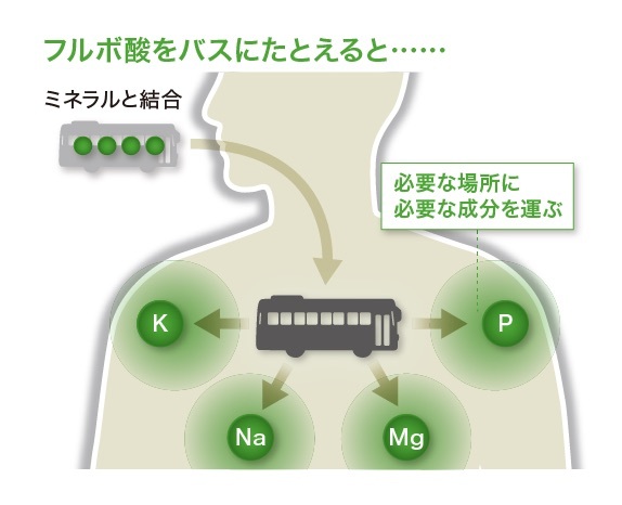 サンクスアイフルボ酸植物性ミネラル | La faveur de la Terre ～地球