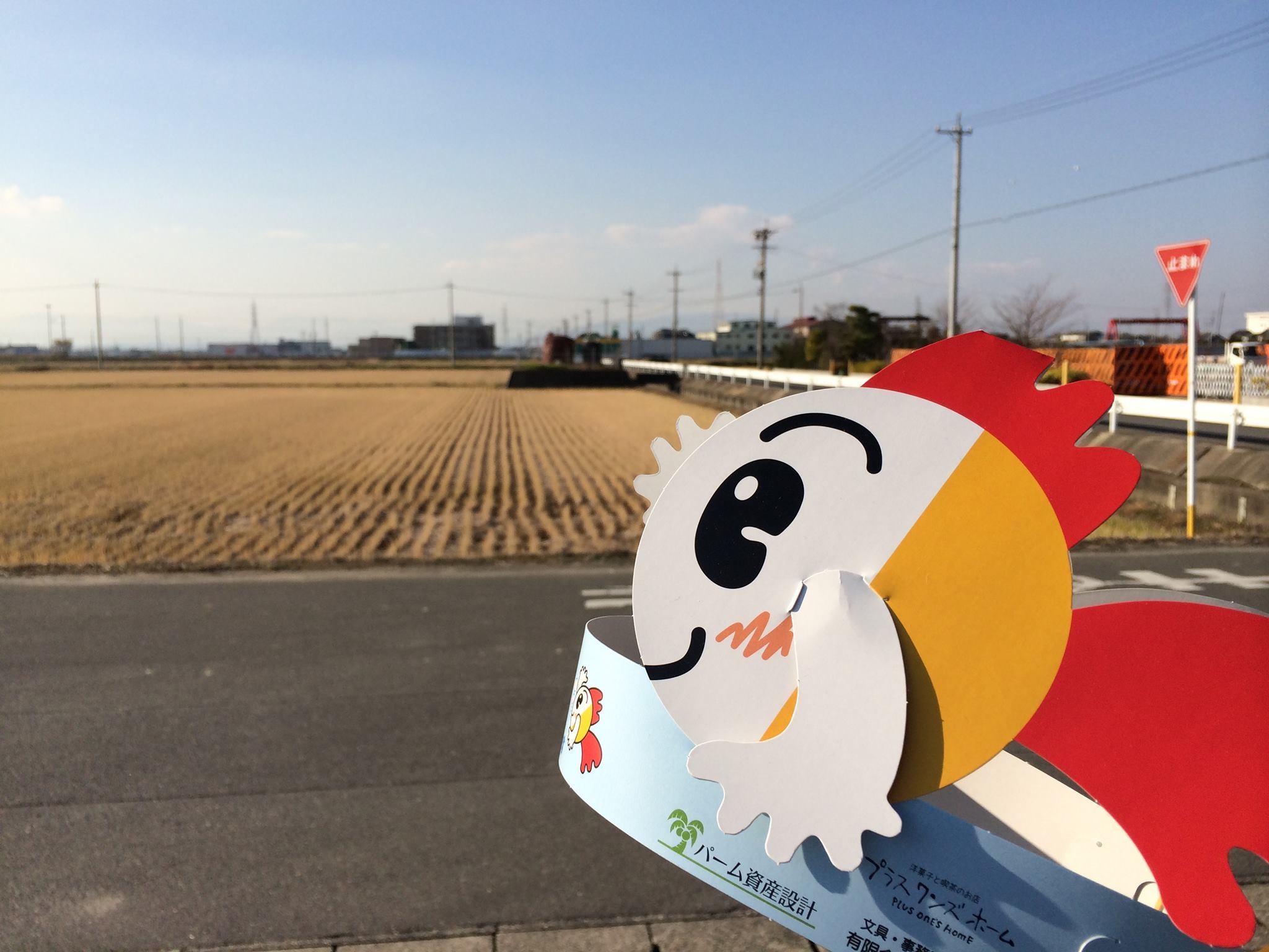 新しい「きんちゃんバイザー」が配布されますよ | やっとみつけ