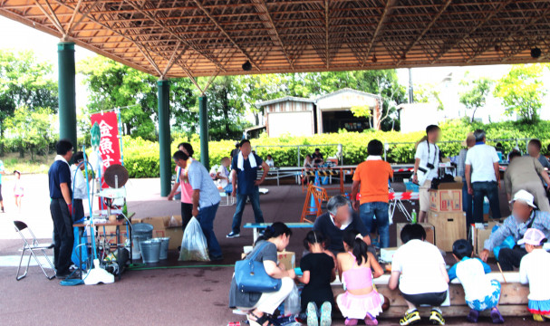 金魚祭り開催 海南こどもの国 やっとみつけた 弥富