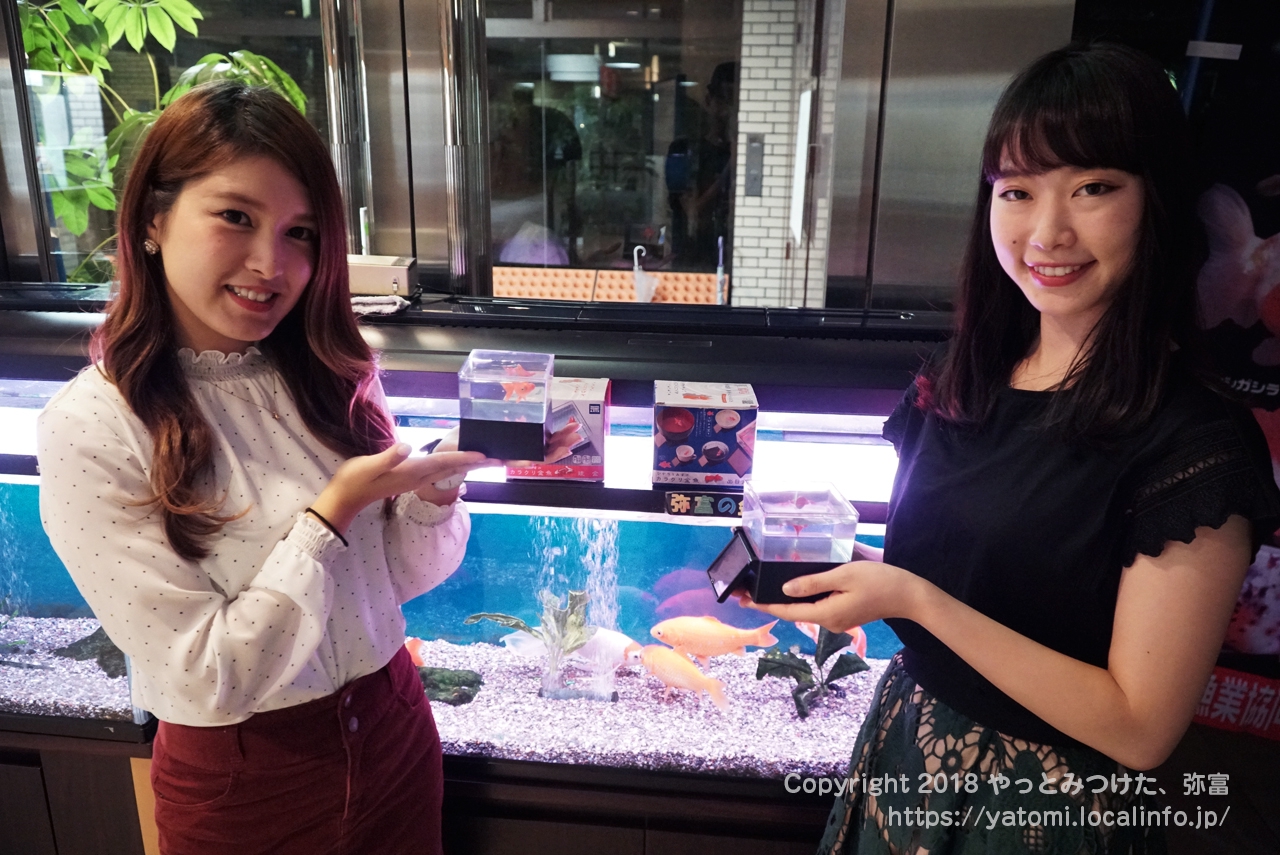 タカラトミーアーツ「ひかりとみずのカラクリ金魚」をミス弥富 タカラトミーアーツ「ひかりとみずのカラクリ金魚」をミス弥富