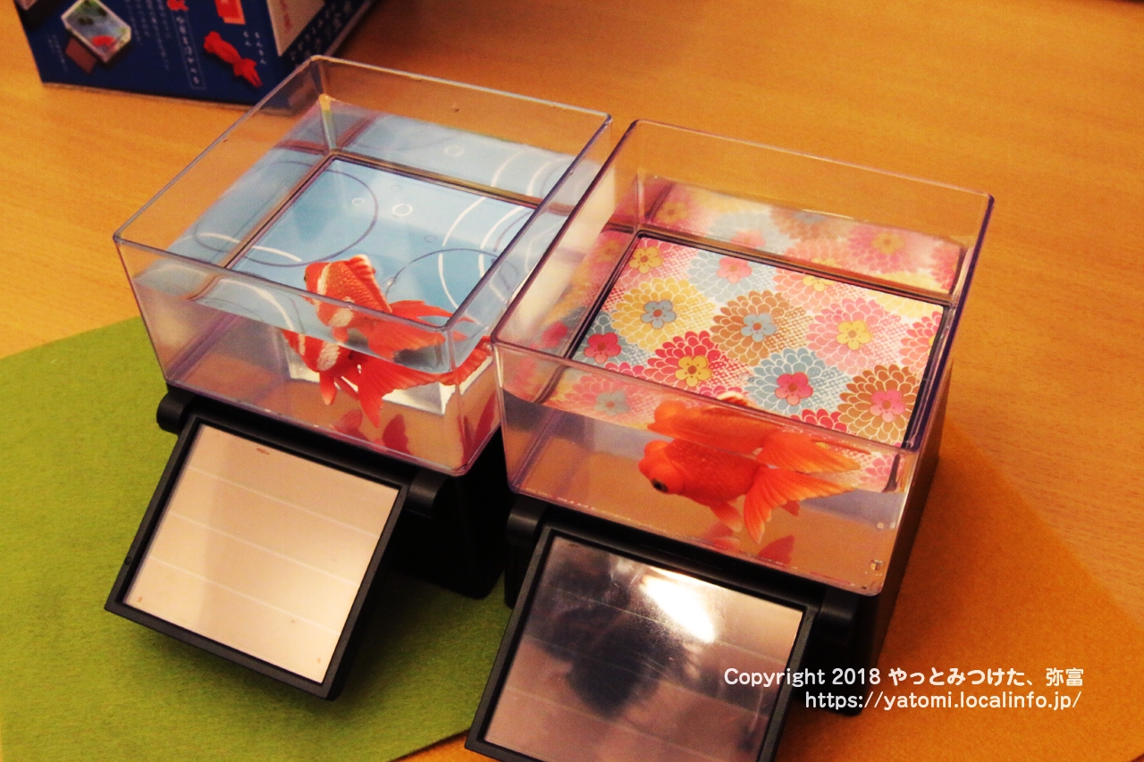タカラトミーアーツ「ひかりとみずのカラクリ金魚」をミス弥富