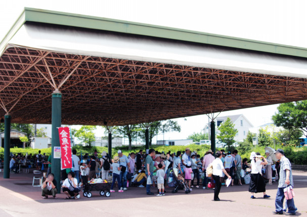 金魚祭り開催 海南こどもの国 やっとみつけた 弥富