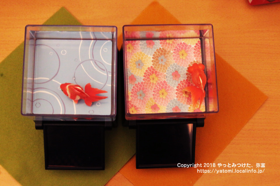 タカラトミーアーツ ひかりとみずのカラクリ金魚 をミス弥富金魚と遊んでみた やっとみつけた 弥富 タカラトミーアーツ ひかりとみずのカラクリ金魚 をミス弥富金魚と遊んでみた やっとみつけた 弥富