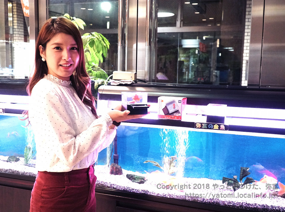 タカラトミーアーツ ひかりとみずのカラクリ金魚 をミス弥富金魚と遊んでみた やっとみつけた 弥富 タカラトミーアーツ ひかりとみずのカラクリ金魚 をミス弥富金魚と遊んでみた やっとみつけた 弥富