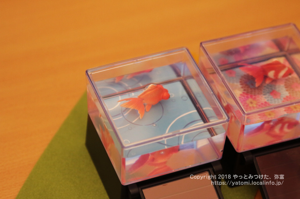 タカラトミーアーツ ひかりとみずのカラクリ金魚 をミス弥富金魚と遊んでみた やっとみつけた 弥富 タカラトミーアーツ ひかりとみずのカラクリ金魚 をミス弥富金魚と遊んでみた やっとみつけた 弥富