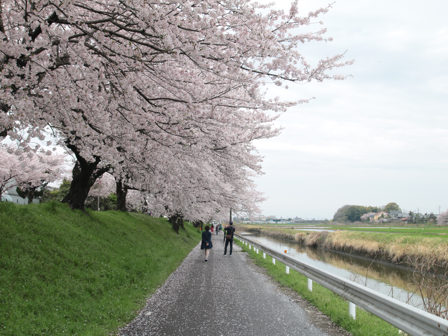 fa69a2273c088c19efe3777a76ea47