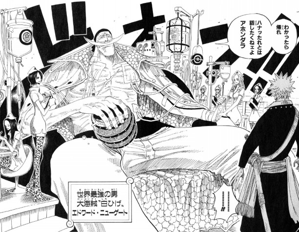 One Piece雑学 これを知っていたらワンピース博士 10個 アニメの雑学 都市伝説 噂話チャンネル