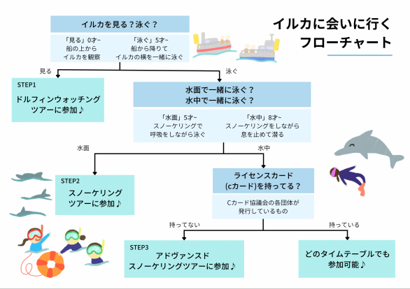 Wild Dolphins (野生のイルカに会う) | Dolphin Smile & iLu Café