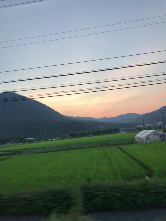 田舎の夏 Air Osaka 田舎の夏 Air Osaka