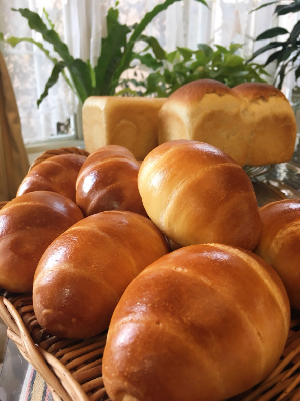 ホップ種で角 山 バターロール ばろのパンblog ホップ種で角 山 バターロール ばろのパンblog