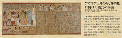 Amazon.co.jp: 大英博物館 古代エジプト展 2012 図録 グリーン